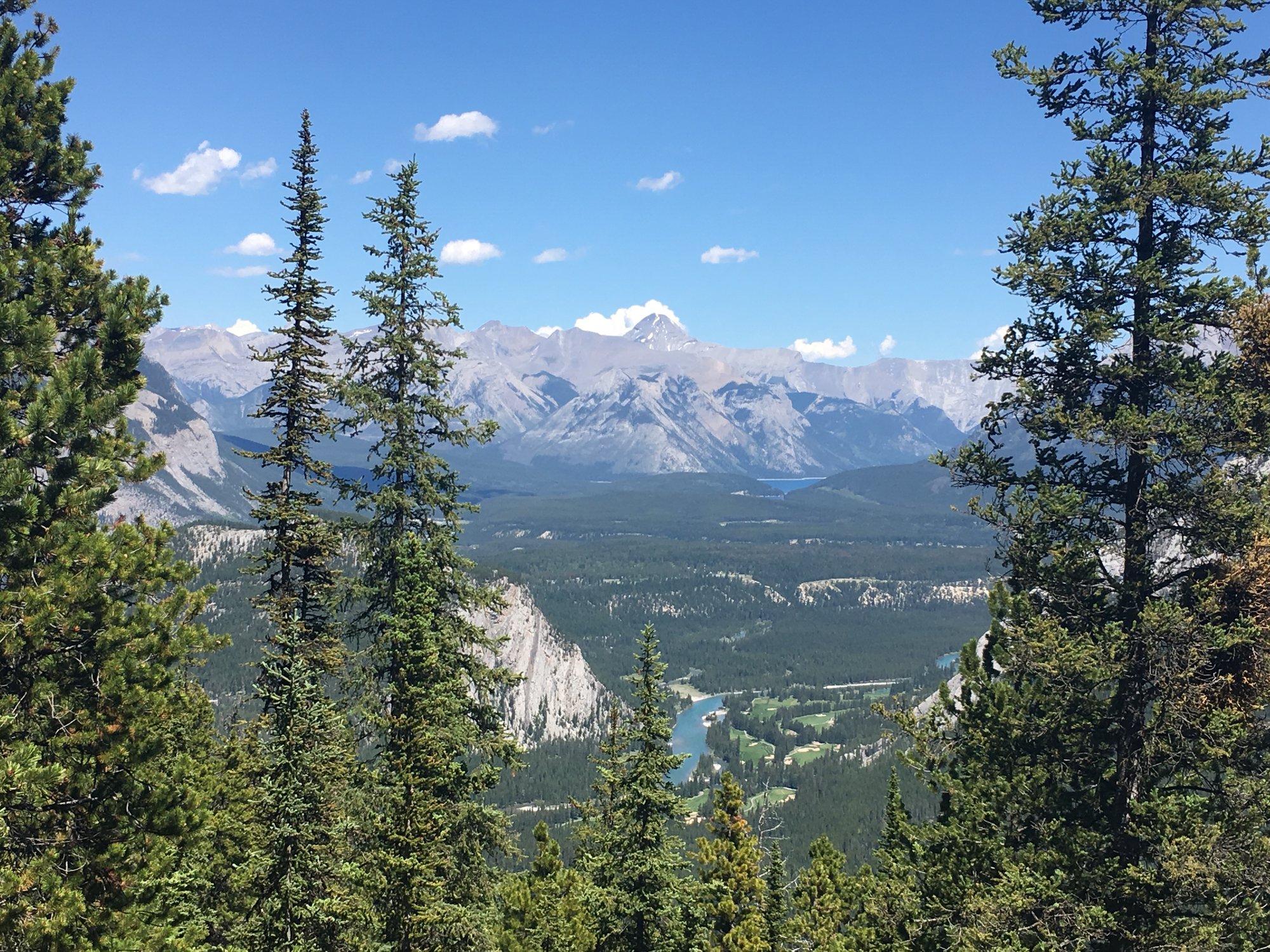 253a5b56-ad6b-4c06-9401-0eeab1ce8073